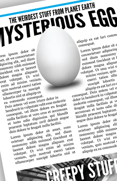 InDesign Class Project 7